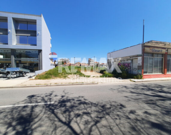1142-87202992.jpg