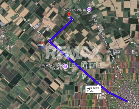 1142-87476441.jpg