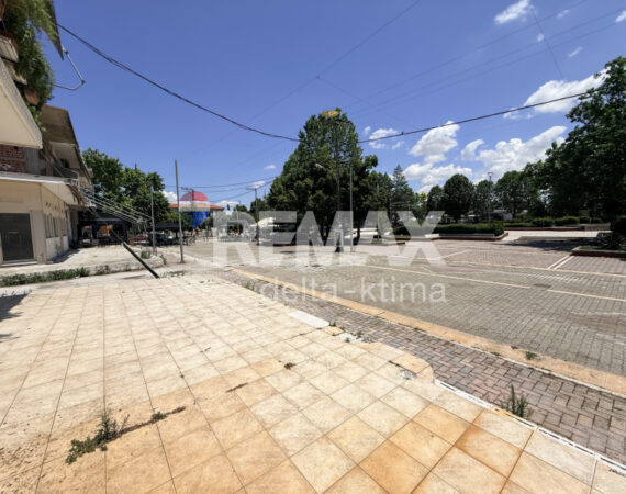 1099-85851458.jpg