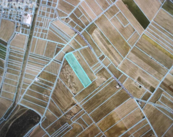 1120-94339884.jpg