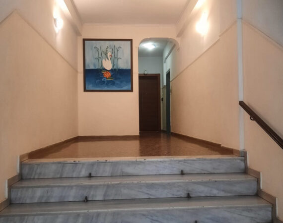 1142-9422730.jpg