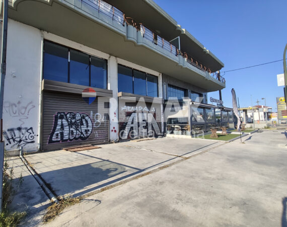 4368-9075251.jpg